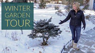 WINTER GARDEN TOUR | Year-round interest? | The Impatient Gardener