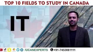 Top 10 field to Study in Canada full Video (IT)