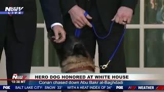 HERO DOG! President Trump Honors Conan