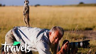 Top 10 Best Places to See Wildlife