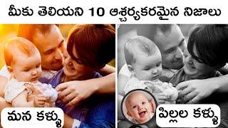 Top 10 Amazing Facts in Telugu | BMC Talks |  Telugu