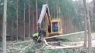 Cutting tree mechine