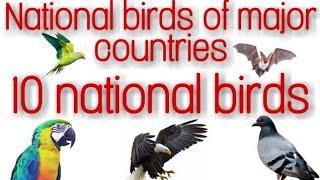 Top (10) country national birds