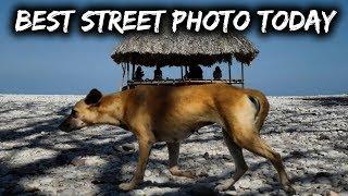 TOP 10 Street Photography of the Day (Ep 248)