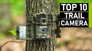 Top 10 Best Trail Cameras in 2020 | 4K & Cellular Hunting Game Camera