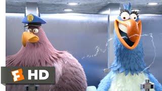 The Angry Birds Movie 2 (2019) - Bathroom Heist Scene (6/10) | Movieclips