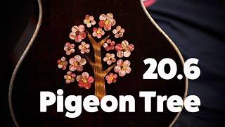 20.6 Pigeon Tree