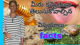 Top 10 facts telugu/most interesting facts/fact channel