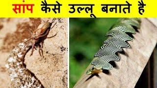 धूप मे रंग बदलने वाला सांप | 10 Most Powerfull Snakes In The World