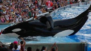 10 Things You May Not Know About Seaworld
