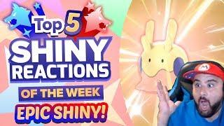 TOP 5 SHINY REACTIONS OF THE WEEK! Pokemon Sword and Shield Shiny Montage! Episode 14