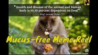 Mucus-free & Mucusless Diet Meme Compilation #1