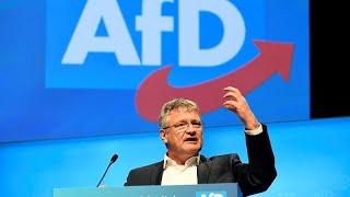 German far-right AfD party elects new leader backed by radical wing