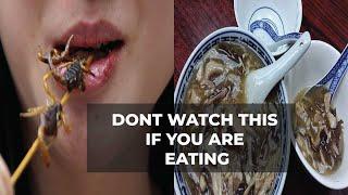 Top 10 Disgusting Foods Westerners Eat