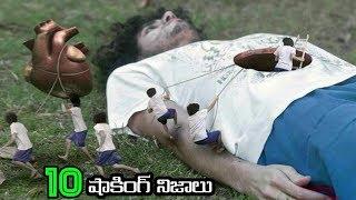 Top 10 unknown facts in Telugu | mind blowing & interesting facts Telugu | facts buddy Telugu