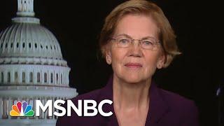 Elizabeth Warren Explains Economic Stimulus Coronavirus Package | All In | MSNBC