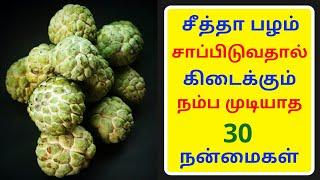 சீத்தா பழம் சாப்பிடுவதால் கிடைக்கும் நன்மைகள் | Top 10 Health Benefits Of Custard Apple | Tamil