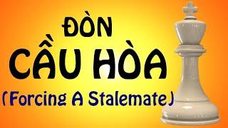 Top 5 Ván Cờ "Gian Lận" Thế Kỷ (Đòn Cầu Hòa) || Playchess1vn