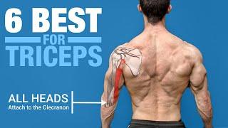 6 BEST Triceps Exercises (ANATOMY BASED)