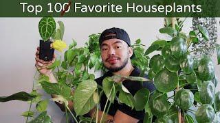 My Top 10 Favorite Houseplants | Spring 2020