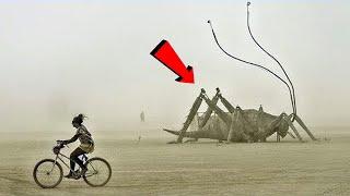 10 Massive Insects That Are Actually Real