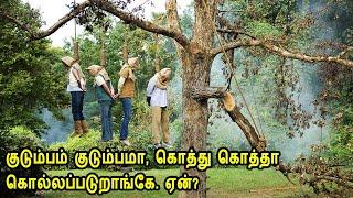 குடும்பம் குடும்பமா கொத்து கொத்தா கொல்லப்படுறாங்கே. காரணம்?  Hollywood Movie Story & Review in Tamil