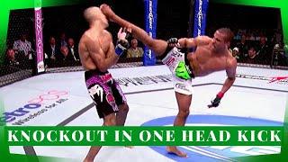 Top 10 Knockouts Of All Time MMA 2019 ⚡