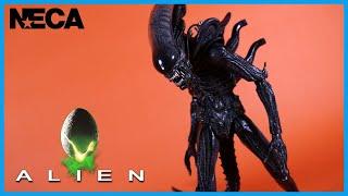 NECA Toys Alien 40th Anniversary ULTIMATE BIG CHAP XENOMORPH Action Figure Review