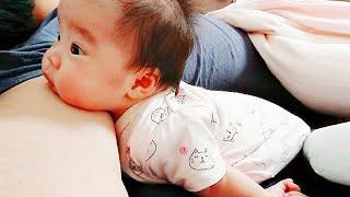 Top Funny Baby Videos - Cute and Funny Babies Moments