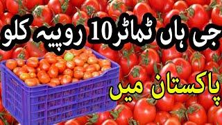 Tomator 10 rupay kilo Pakistan my wo kon sa area hay jaha tomato 10 rupay kilo hn Selfmade awareness