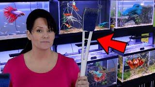 Top 10 TOOLS To Help Keep A Clean Aquarium