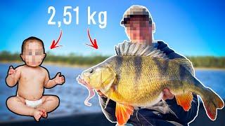 DREAM FISHING: World's Best Perch Fishing (2,51 kg & 53 cm) | Team Galant