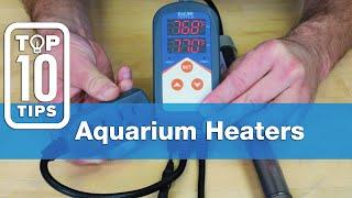 Top Ten Aquarium Heater Tips For Beginners