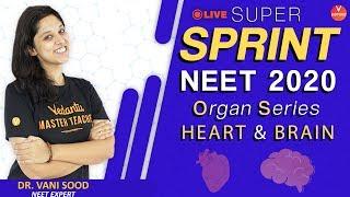 HEART and BRAIN Super Sprint 2020 | AIIMS | NEET 2020 | Vani Ma'am | Vedantu VBiotonic