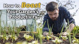 The Most Incredible Skill to Improve Your Vegetable Garden