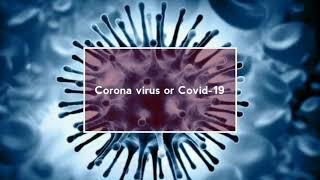 Top 10 Facts about Corona  Virus