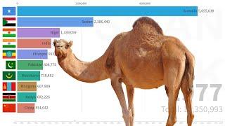 Top 10 Camel Stocks (head) Countries from 1961 | FAO DATA