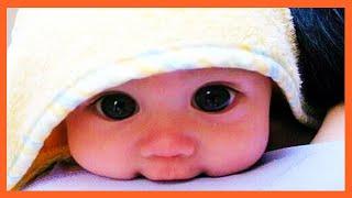 Top Cutest Baby In The World- Lovers Baby