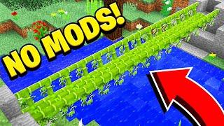 5 Things You Didn't Know You Could Build in Minecraft! (NO MODS!)