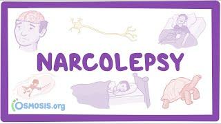 Narcolepsy - causes, symptoms, diagnosis, treatment, pathology