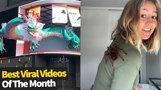 Top 25 Best Viral Videos Of The Month - May 2021