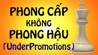 Đòn Phong Cấp Nhưng Không Phong Hậu || Bí Quyết Cờ Vua || @playchess1vn