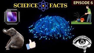 Secrets Of Science : Top 10 Amazing / Interesting Science Facts : EP-6