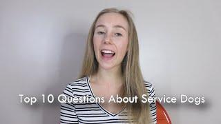 Top 10 Questions About Service Dogs