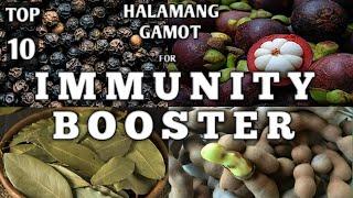 TOP 10 HALAMANG GAMOT PAMPALAKAS AT PAMPATIBAY NG IMMUNE SYSTEM PARA MALABANAN ANG IBAT IBANG SAKIT.