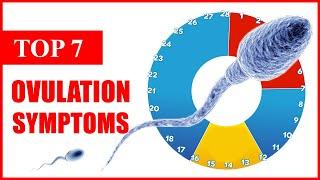 Ovulation Symptoms – Top 7 Symptoms of Ovulation and Signs to Calculate the Period