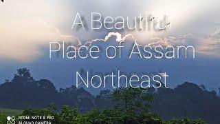 a Beautiful Place of assam# assam natural video # assam hppyy people# top 10 place