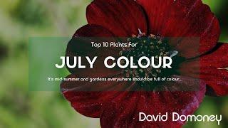 Top 10 Plants For Your Garden In July