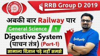 12:00 PM - RRB Group D 2019 | General Science by Ankit Sir | Digestive System