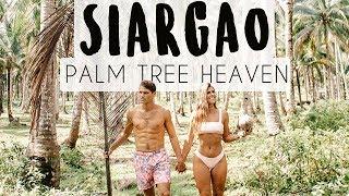 SIARGAO ISLAND PHILIPPINES - PALM TREE HEAVEN